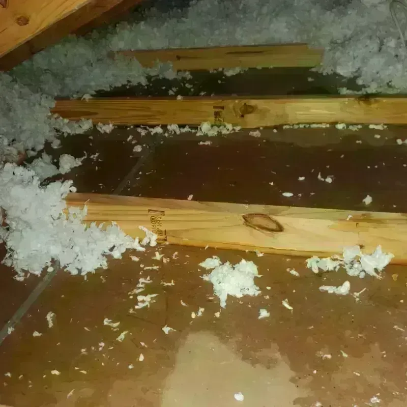 Attic Water Damage in Bunker Hill, OR